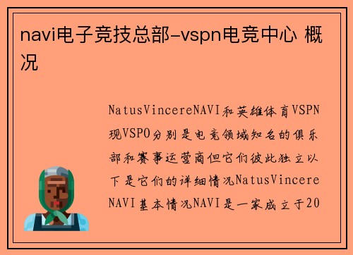 navi电子竞技总部-vspn电竞中心 概况
